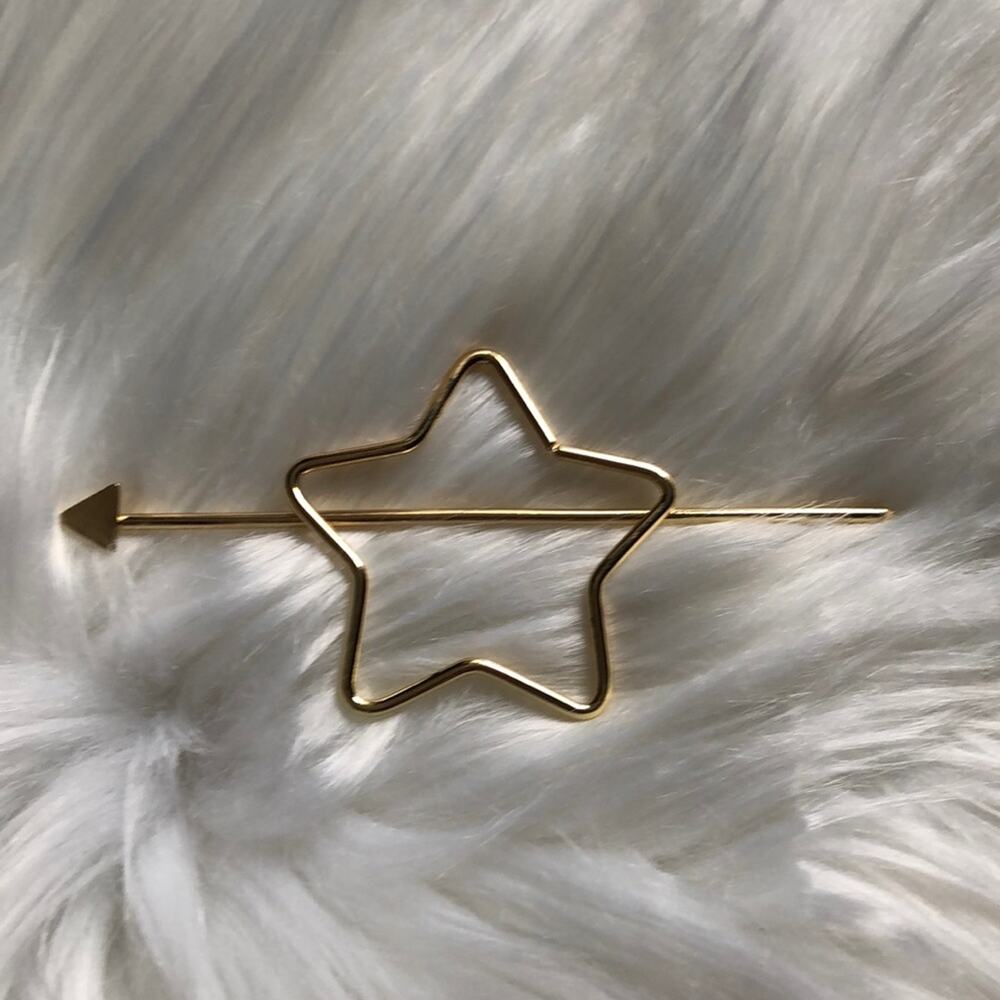 Hair pin or shawl pin | Star shaped